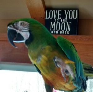 Meet your Posher, Sue